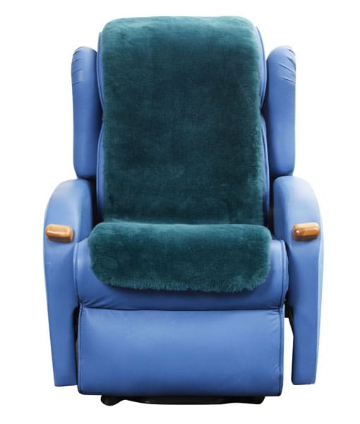 Wild Goose Sheepskin Day Chair Overlay