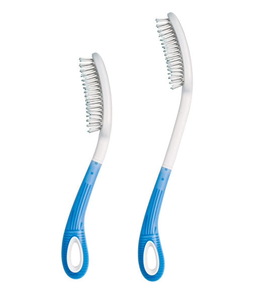 Long Handled Brush